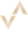 Vida Valiente Logo